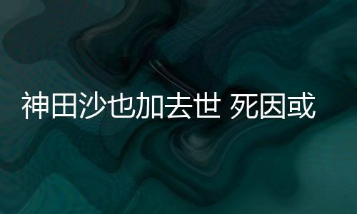 或是田沙加去也资料介自杀神田沙也世 死因 神绍