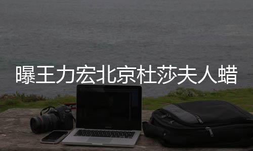 北京被撤波有和离婚风曝王杜莎关 疑力宏蜡像夫人